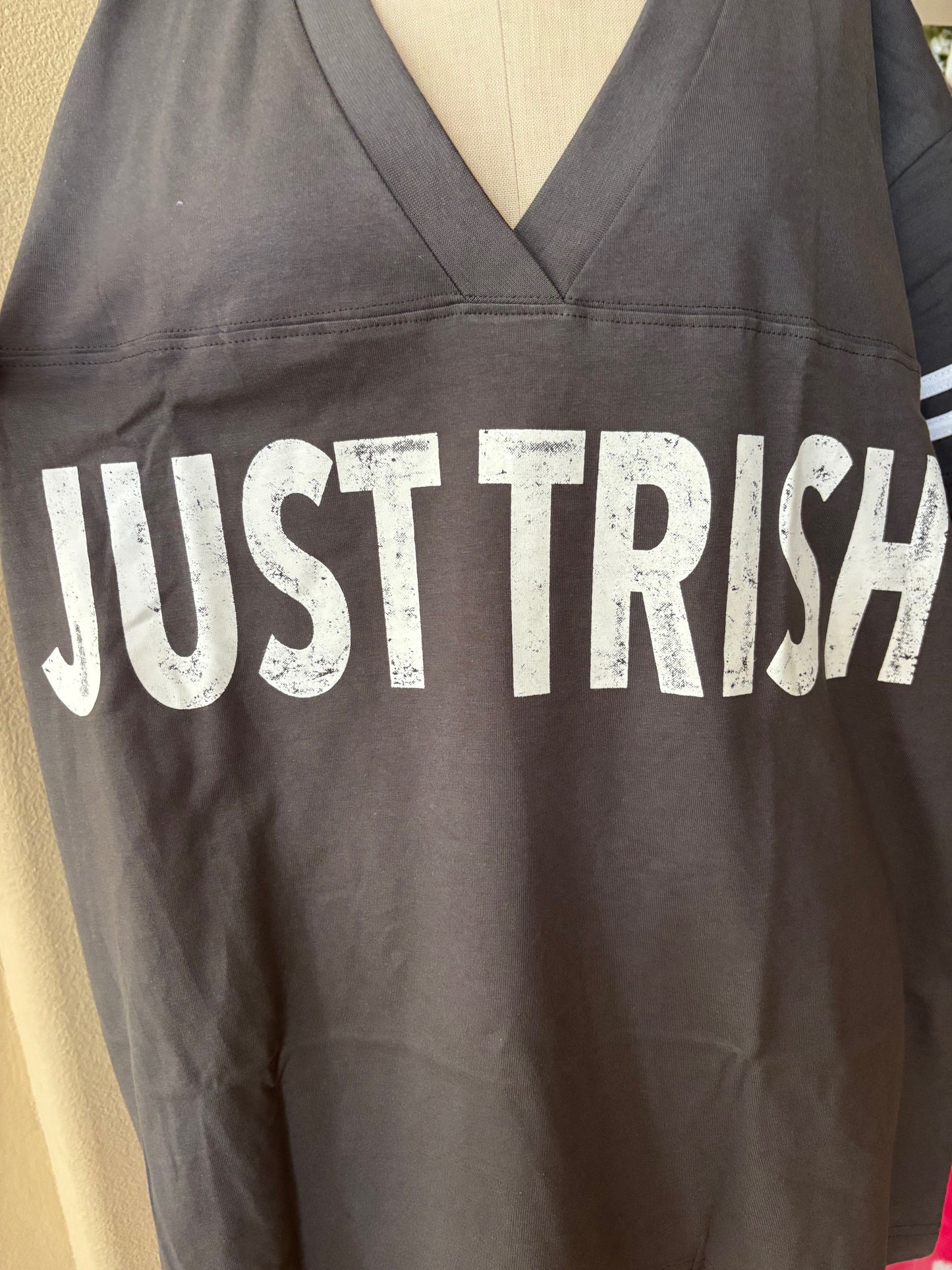 Just Trish Gray Jersey